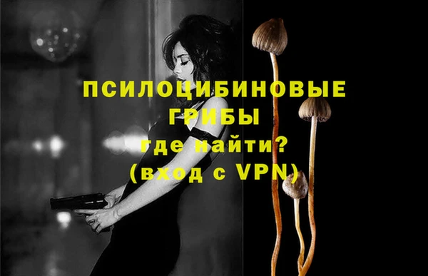ALPHA PVP Рославль