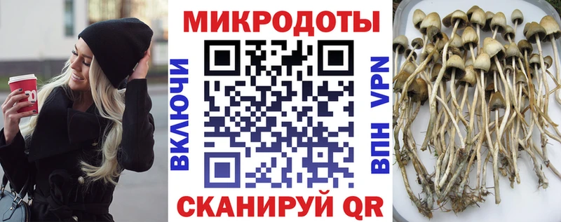 shop какой сайт Пойковский Псилоцибиновые грибы прущие грибы